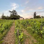 Pavillon Du Xixeme Au Milieu Des Vignes * Soulaines-sur-Aubance
