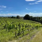 Pavillon Du Xixème Au Milieu Des Vignes * Soulaines-sur-Aubance
