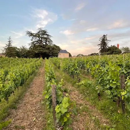 Pavillon Du Xixeme Au Milieu Des Vignes * Soulaines-sur-Aubance