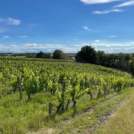 Pavillon Du Xixeme Au Milieu Des Vignes * Soulaines-sur-Aubance