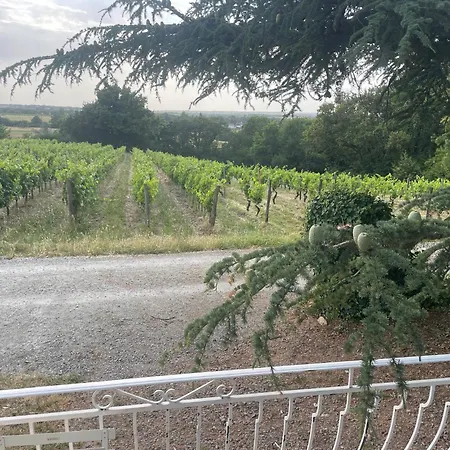 Pavillon Du Xixeme Au Milieu Des Vignes Oda ve Kahvaltı *